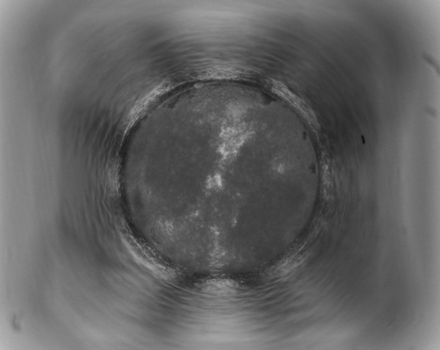 X0000102810203200808181231