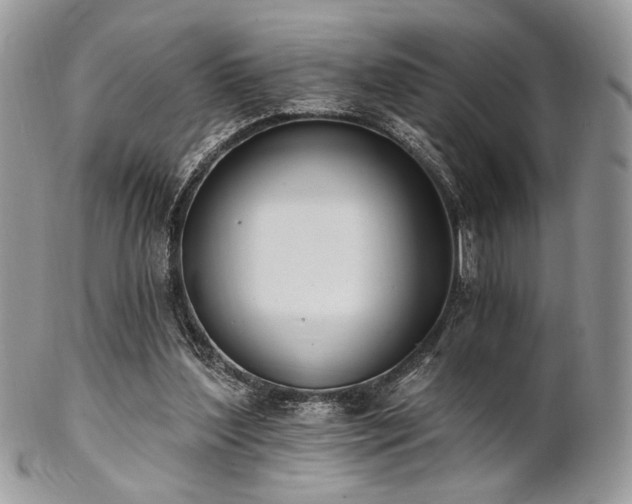 X0000102810204200808181231