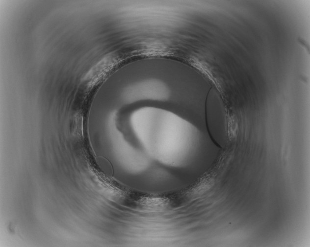 X0000102810205200808181231