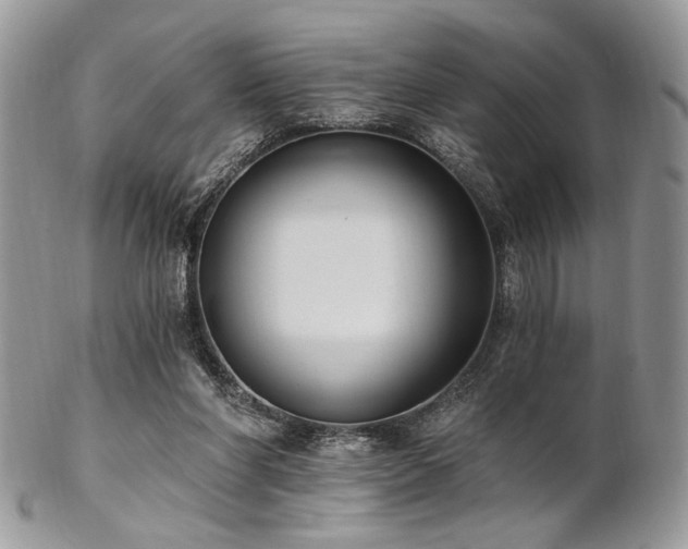 X0000102810206200808181231