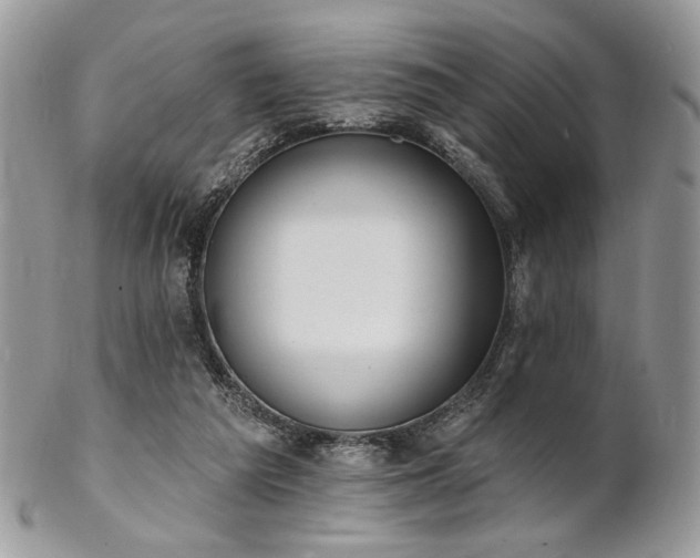 X0000102810209200808181231