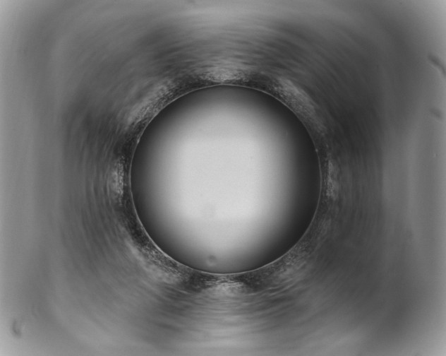 X0000102810210200808181231