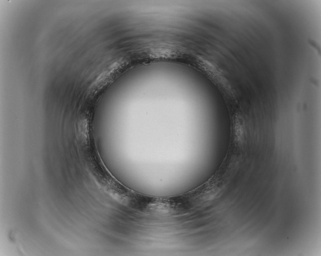 X0000102810211200808181231