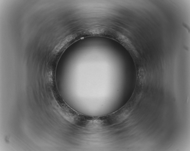 X0000102810212200808181231