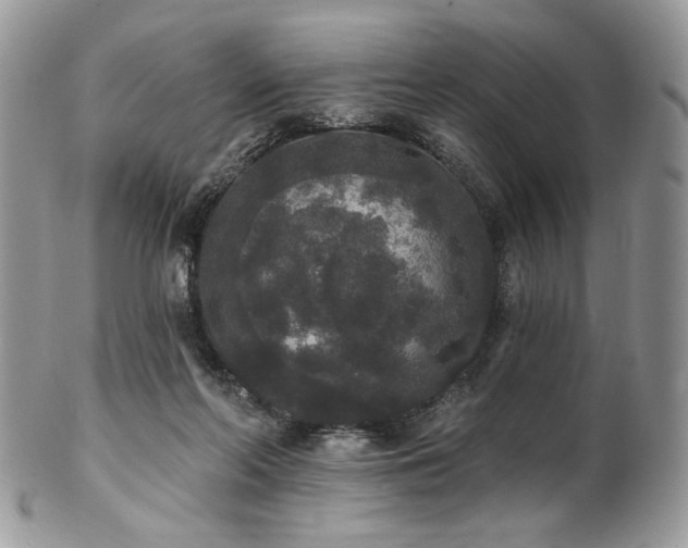 X0000102810214200808181231