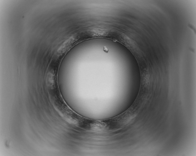 X0000102810215200808181230