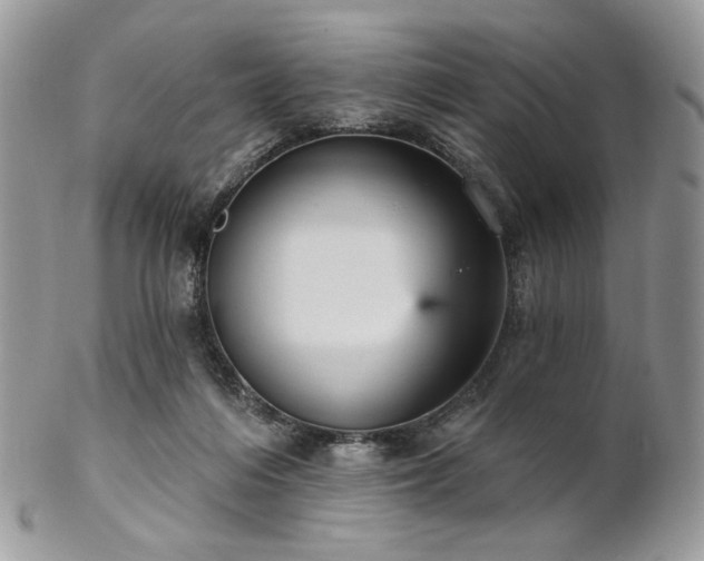 X0000102810216200808181230