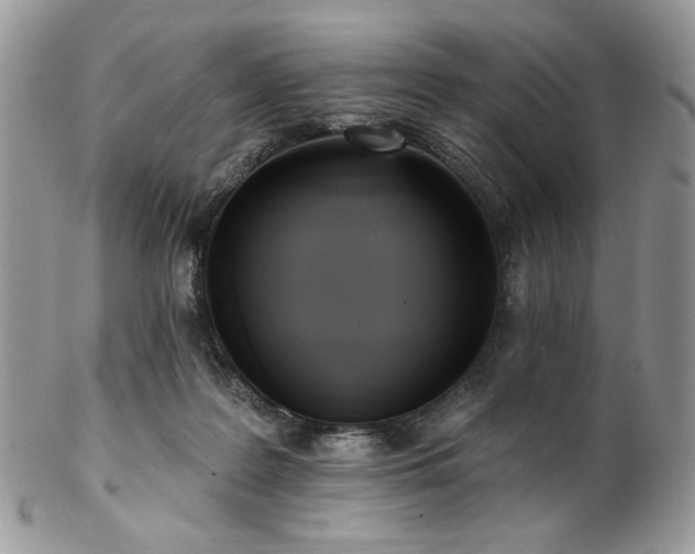 X0000102810219200808181230