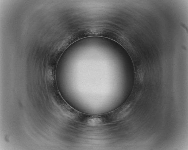 X0000102810220200808181230