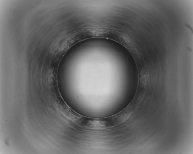 X0000102810221200808181230