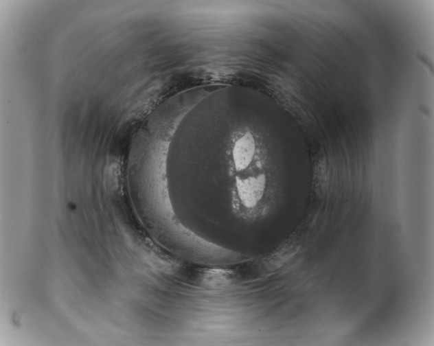 X0000102810222200808181230