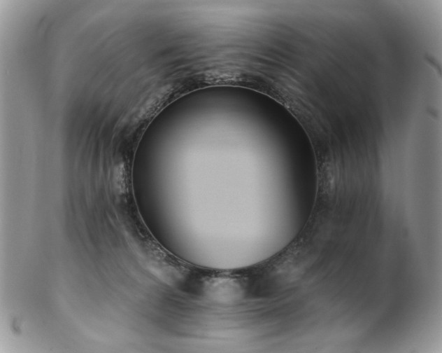 X0000102810224200808181230