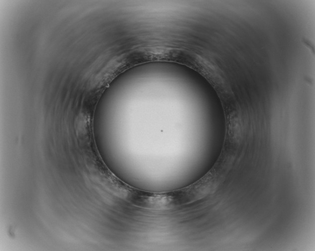 X0000102810225200808181230