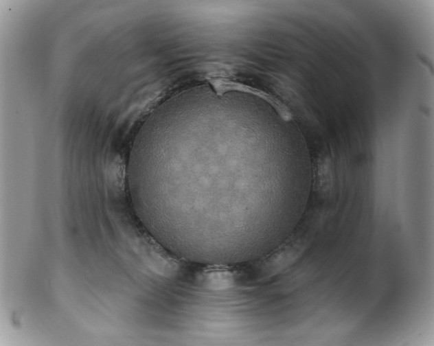 X0000102810228200808181230