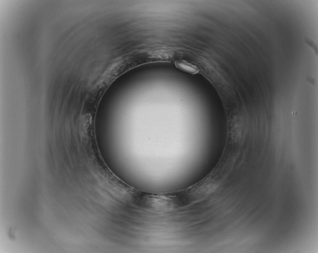 X0000102810229200808181230