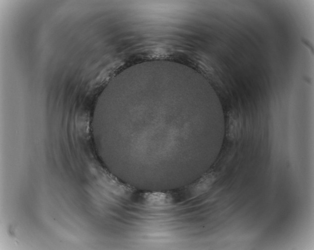 X0000102810230200808181230