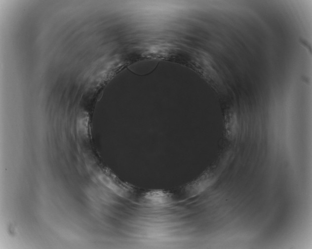 X0000102810231200808181230