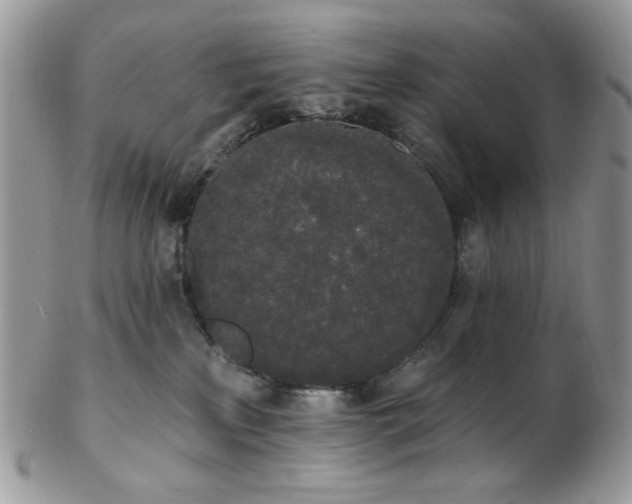 X0000102810233200808181230