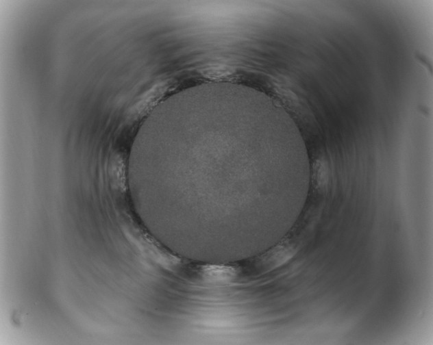 X0000102810234200808181230