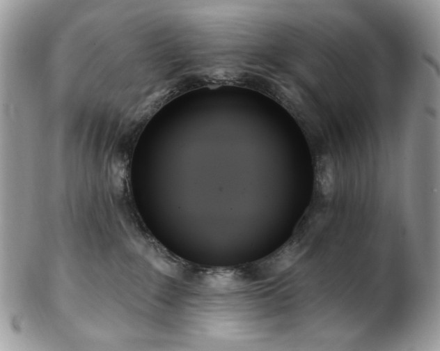 X0000102810235200808181230