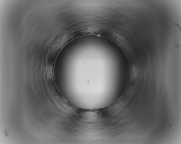 X0000102810236200808181230