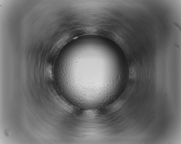 X0000102810238200808181230