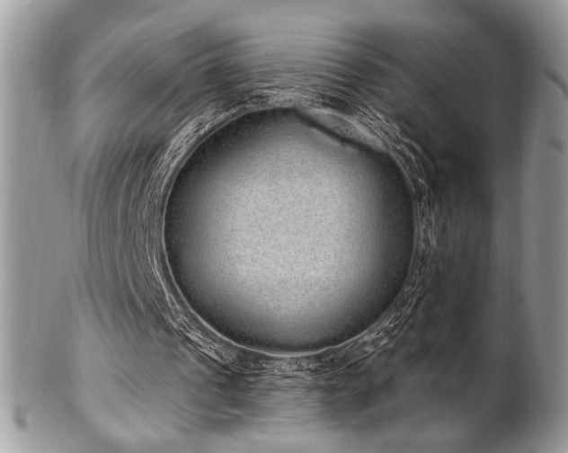 X0000102810241200808181229