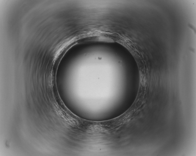 X0000102810244200808181230