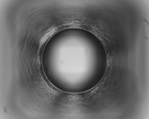 X0000102810245200808181230