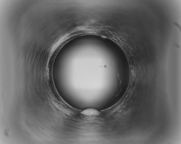 X0000102810246200808181230