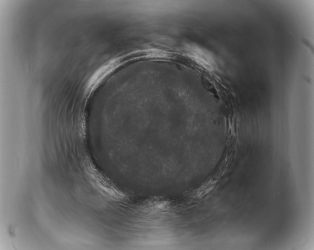 X0000102810247200808181230