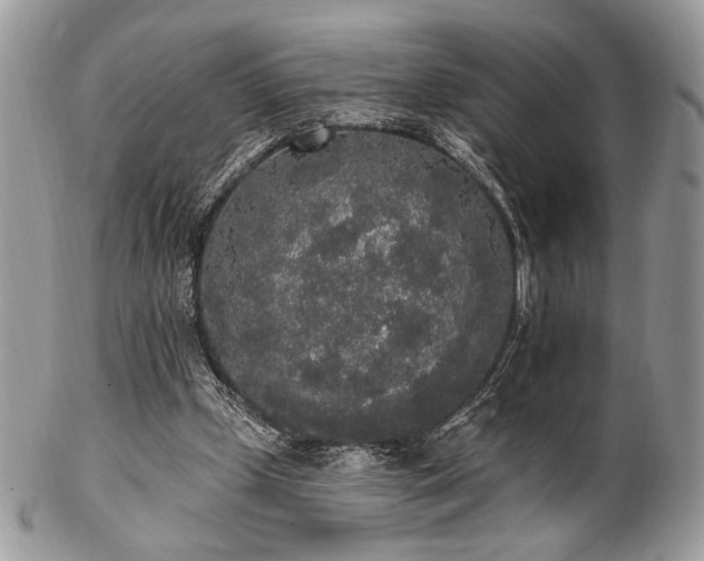 X0000102810249200808181230