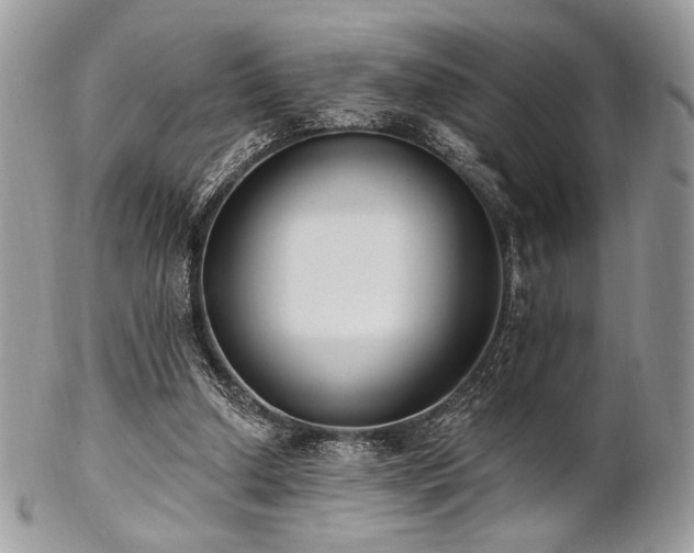 X0000102810250200808181230