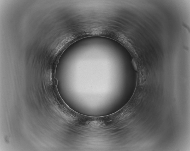 X0000102810251200808181230