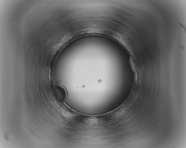 X0000102810253200808181230