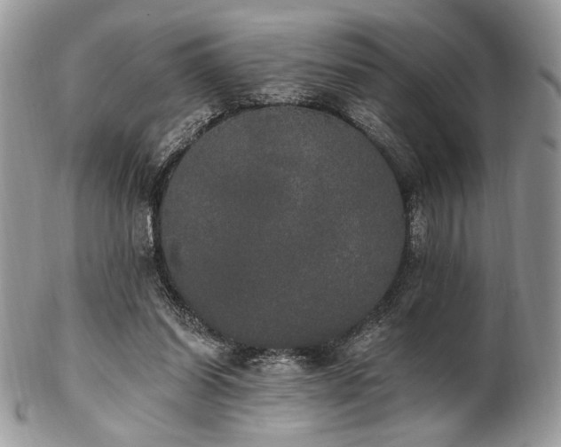 X0000102810254200808181230