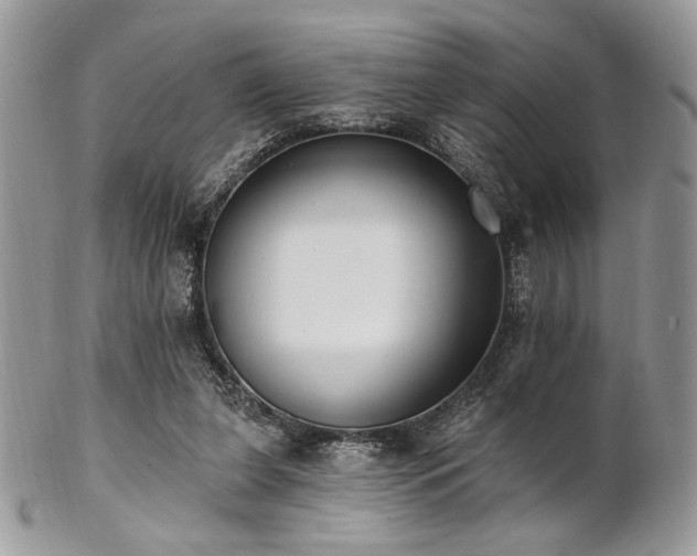 X0000102810255200808181230