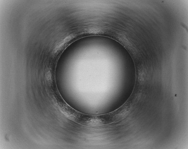 X0000102810256200808181230