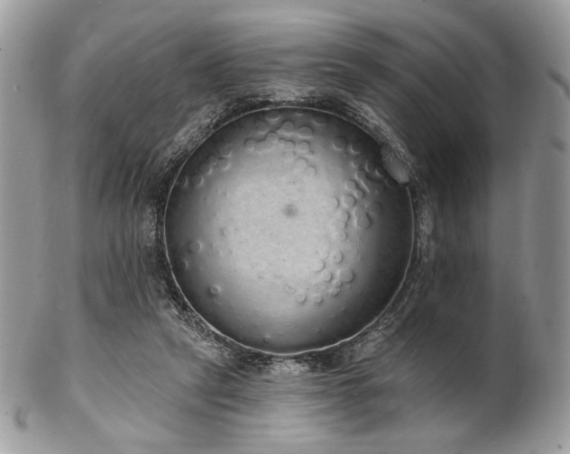 X0000102810257200808181230