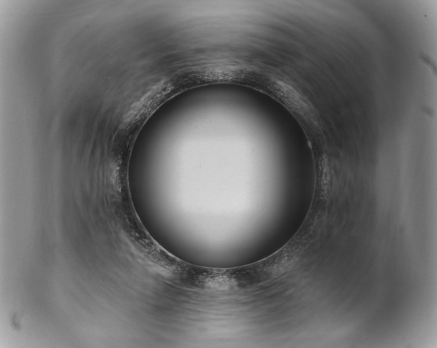 X0000102810258200808181230