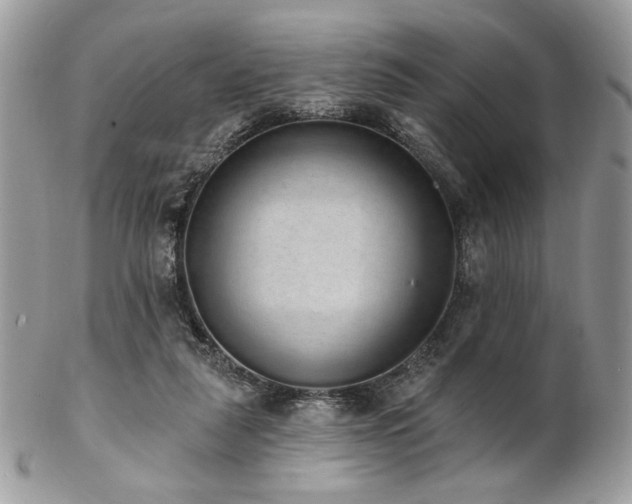 X0000102810259200808181230