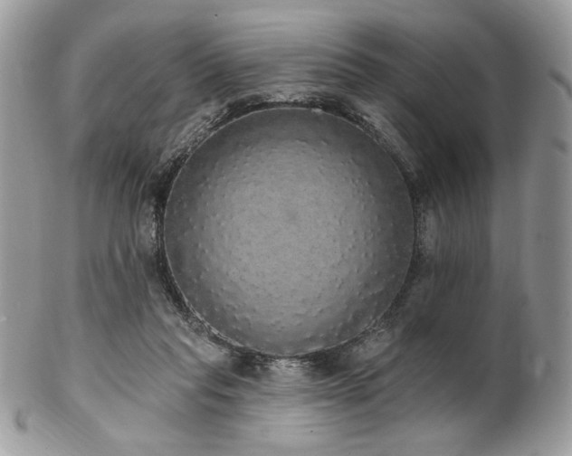 X0000102810261200808181230