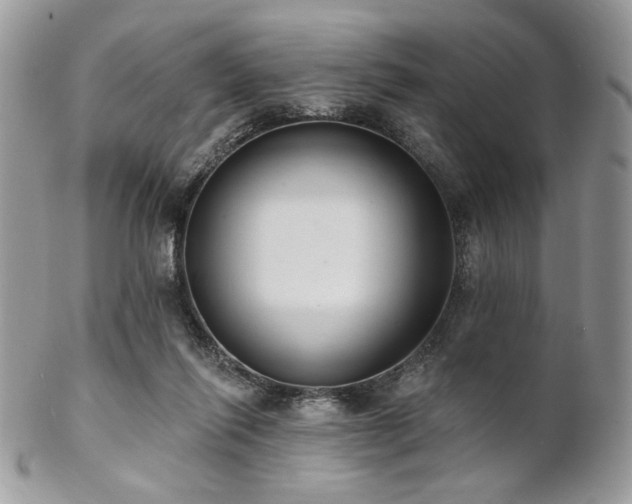 X0000102810262200808181230