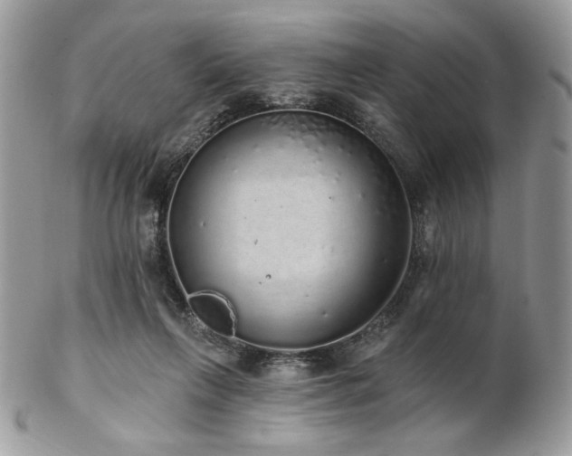 X0000102810263200808181230