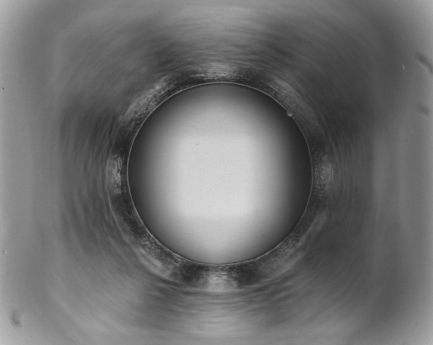 X0000102810264200808181230