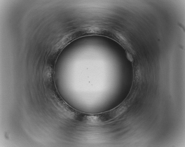 X0000102810265200808181230