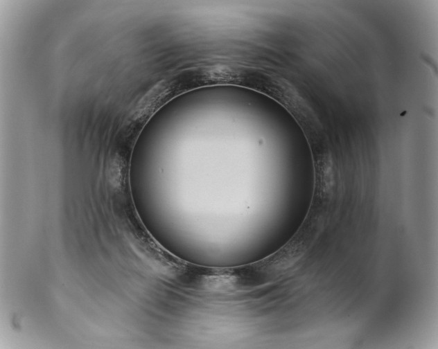 X0000102810266200808181230