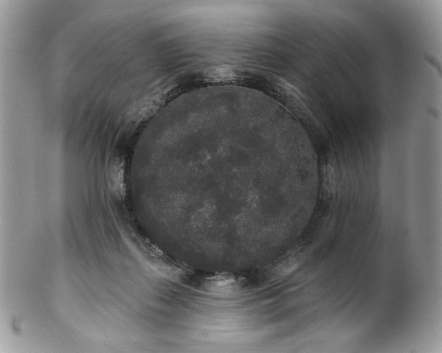 X0000102810267200808181230