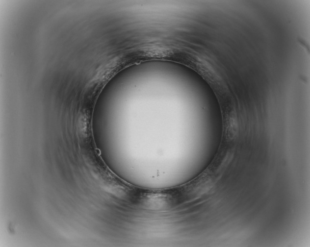 X0000102810268200808181230