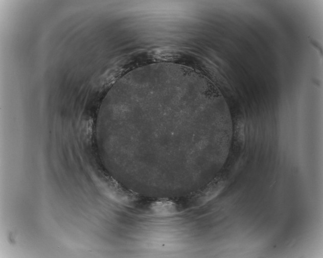 X0000102810271200808181230